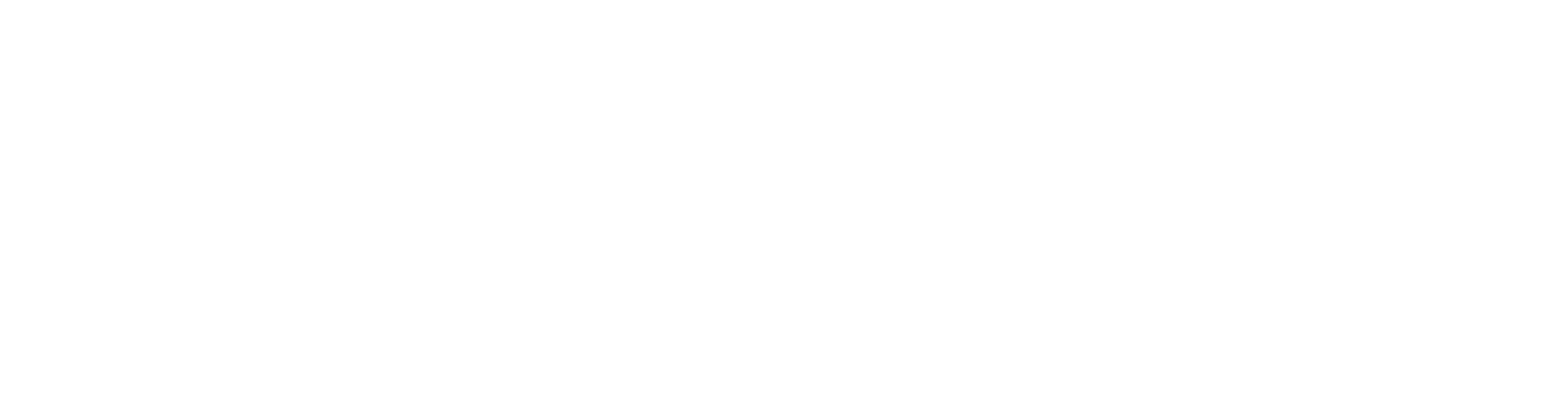 Vôlei Shop